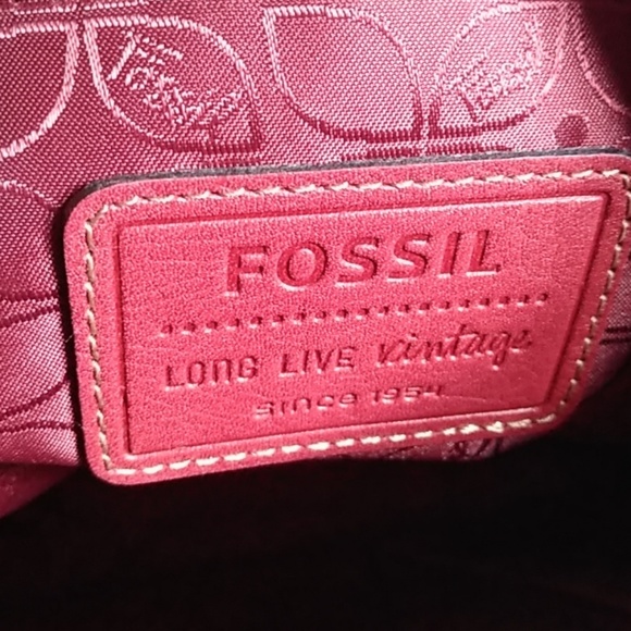 Fossil - Picture 5 of 6